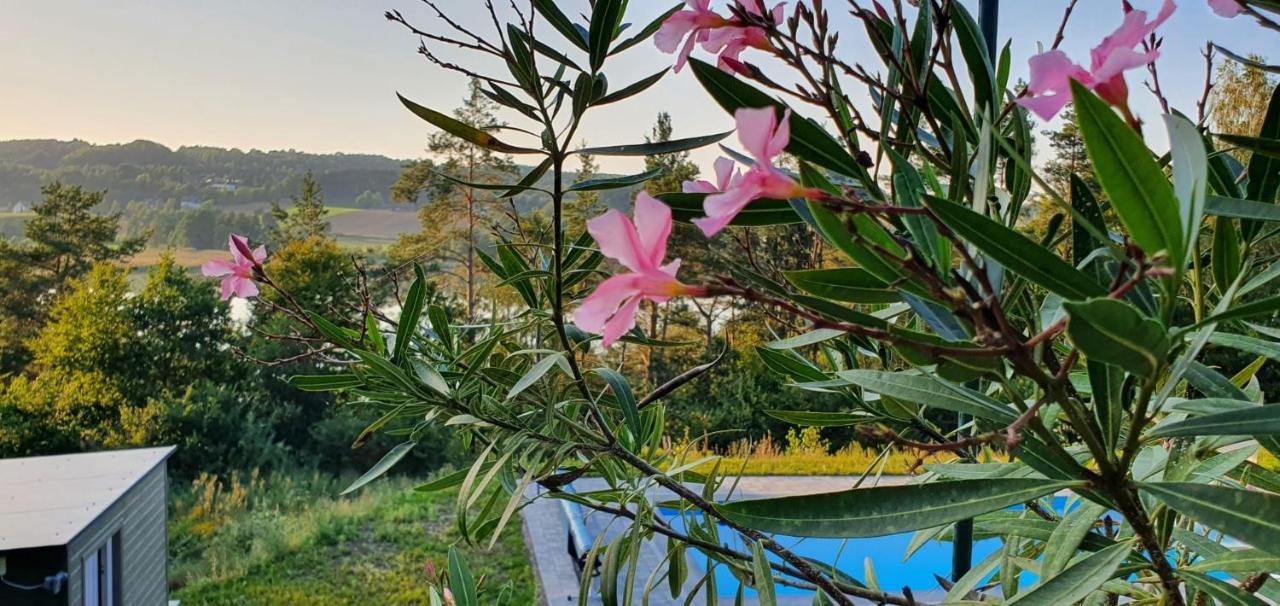 Lesny Apartament Ostrzyce Εξωτερικό φωτογραφία